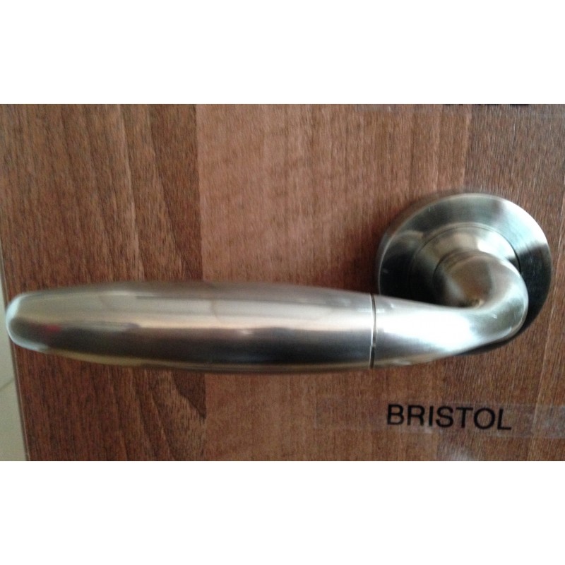 Bristol Door Handles on Round Rose